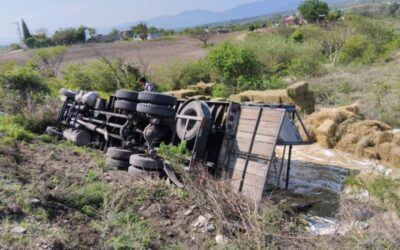 Vuelca tráiler cargado de pacas en Miahuatlán