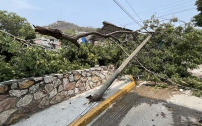 Caen postes y árboles por lluvia en Tehuantepec