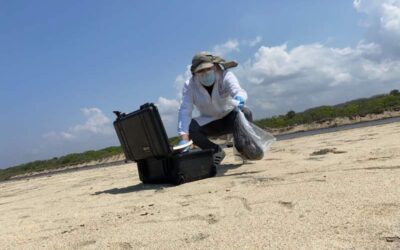 Muerte de aves en las costas de Oaxaca fue por inanición: Umar