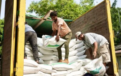 Programa Abasto Seguro de Maíz beneficia a 664 personas productoras de seis municipios