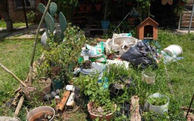 Reducir la incidencia del dengue es responsabilidad colectiva