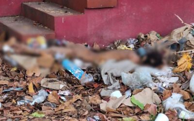 Hallan cuerpo putrefacto en Ixtepec
