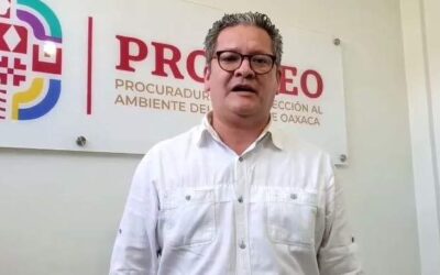 Renuncia funcionario de Murat a la PROPAEO