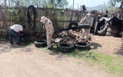 Intensifica SSO acciones preventivas en la Segunda Jornada Nacional de Lucha contra el Dengue