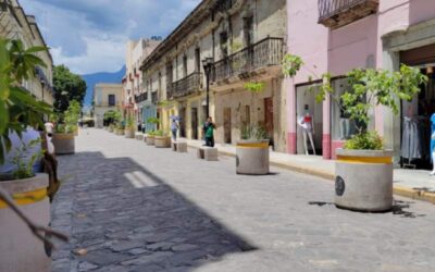 Piden comerciantes liberar la calle de Bustamante