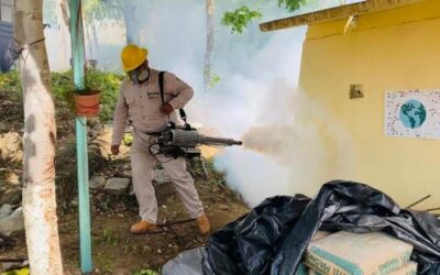 Reportan 709 casos de dengue confirmados en Oaxaca