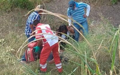 Siguen asesinatos en el estado de Oaxaca, el viernes seis personas fueron ejecutadas