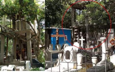 Suspende el Ayuntamiento la obra que se realizaba en el Panteón General