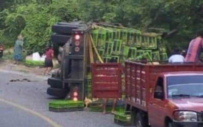 Vuelca camión con pollos en Huamelula, rapiña se hace presente