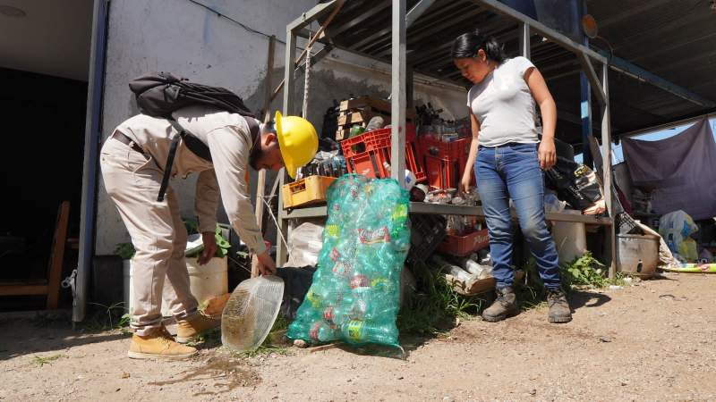 convoca-sso-realizar-actividades-de-patio-y-vivienda-limpia-para-combatir-proliferacion-del-dengue