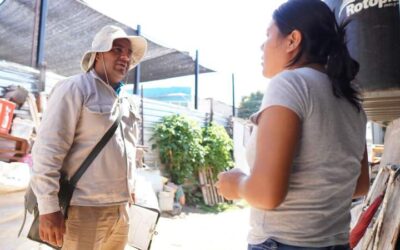 Intensifica SSO acciones contra el dengue en viviendas, mercados y escuelas