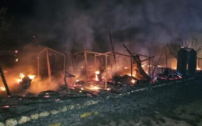Daños materiales deja incendio en zoológico Yaguar Xoo de Tanivet