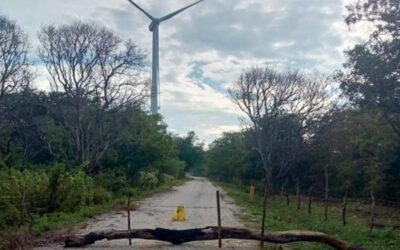 Denuncian daño ambiental provocado por parque «Eólica del Sur», en Juchitán