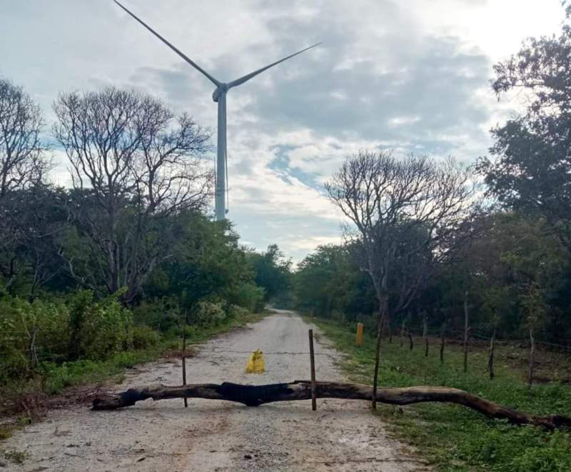 denuncian-dano-ambiental-provocado-por-parque-eolica-del-sur-en-juchitan