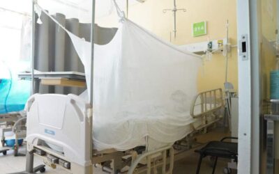 En riesgo epidemiológico alto 46 municipios por dengue: SSO