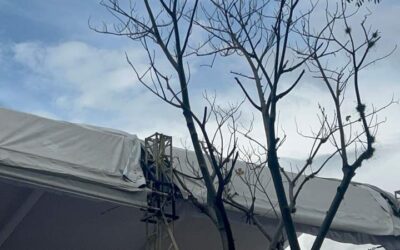 Genera afectaciones módulos instalados en el Llano para el Festival del Mole de Caderas