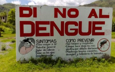 Llaman los SSO a eliminar criaderos del mosquito transmisor del dengue