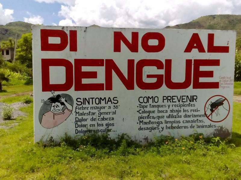 Llaman los SSO a eliminar criaderos del mosquito transmisor del dengue