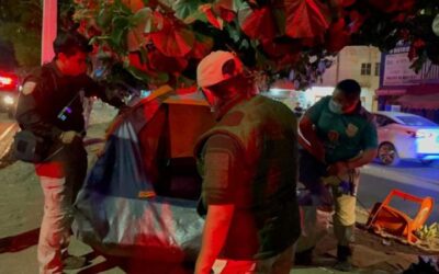 Ante nueva queja de vecinos, implementan operativo contra migrantes en inmediaciones de la Central de Abasto