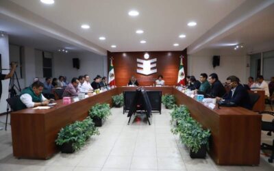 Aprueba IEEPCO topes máximos de precampaña para las elecciones 2024