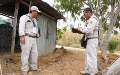 Convoca SSO a la población no bajar la guardia contra el dengue en temporada de frío