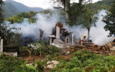 Reporta Oaxaca 116 casos nuevos de dengue