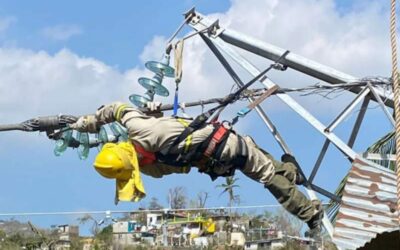 Restablecido el suministro eléctrico en todo Guerrero tras Otis: CFE; trabajadores revisarán casos particulares