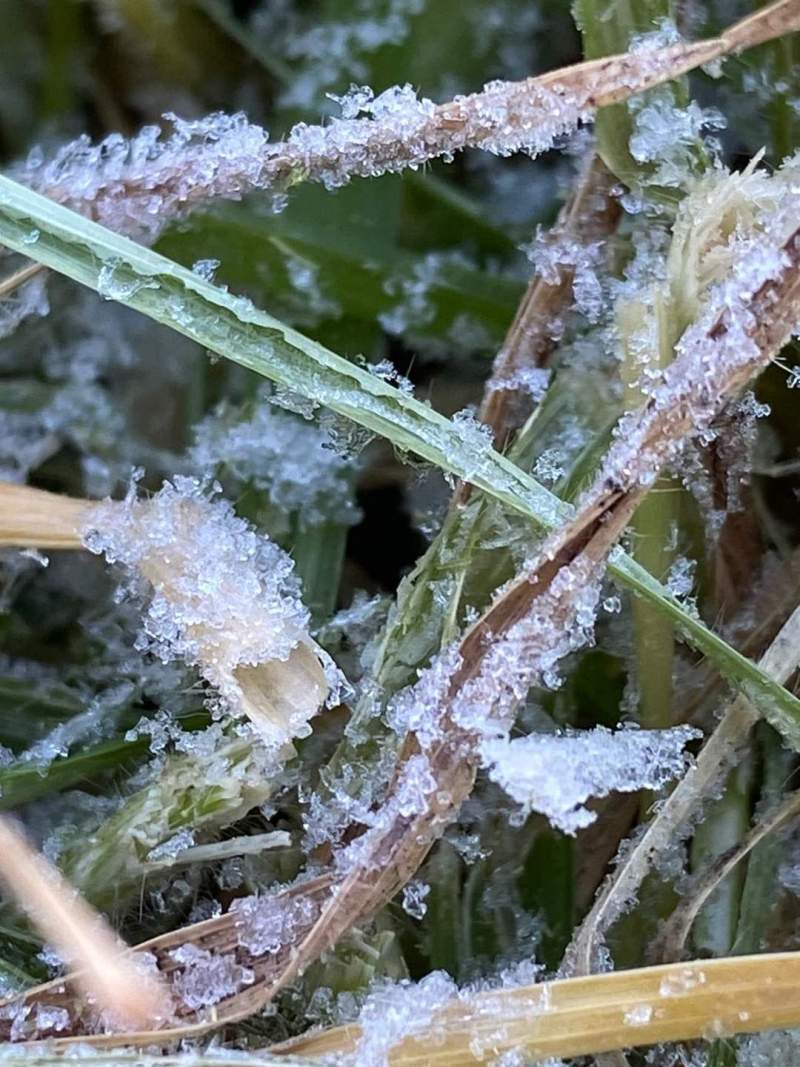 activa-proteccion-civil-monitoreo-ante-descenso-de-temperaturas