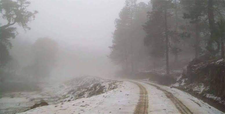 habra-heladas-vientos-del-norte-y-temperaturas-minimas-de-hasta-3-grados-en-oaxaca