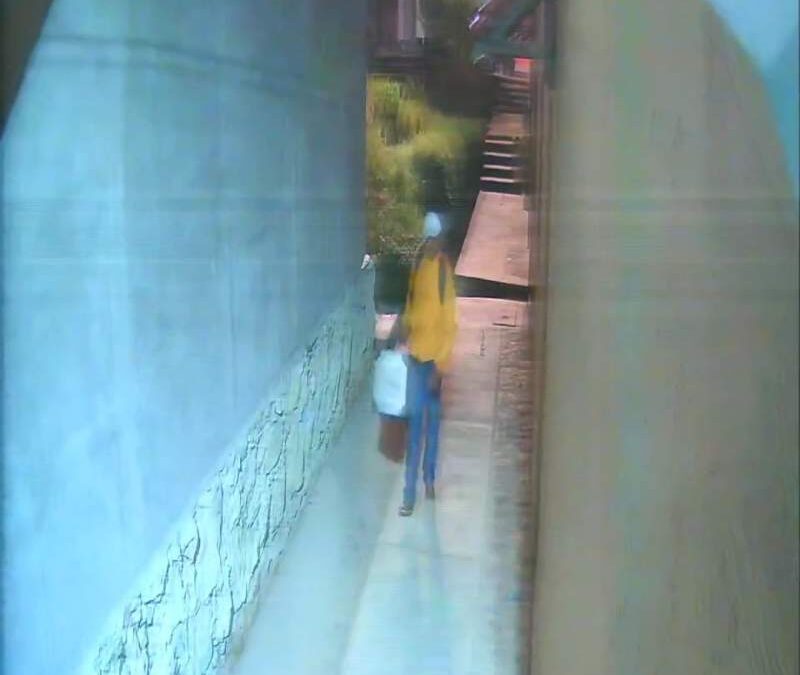 Presunto ladrón es captado intentando robar un domicilio en la capital