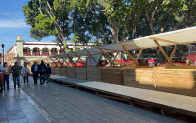 Se alista el escenario que albergará la Noche de Rábanos en Oaxaca