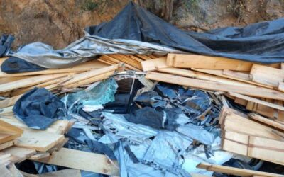 Trágica Navidad en carretera; familia del Istmo pierde la vida en accidente
