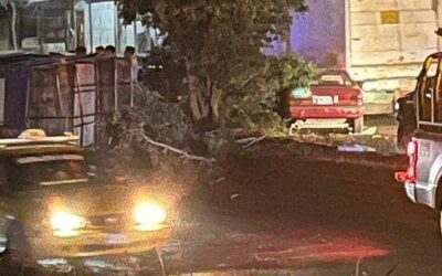 Camión de redila choca con un árbol en Pueblo Nuevo