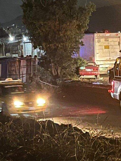 Camión de redila choca con un árbol en Pueblo Nuevo