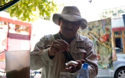 Cerró Oaxaca el 2023 con mil 881 casos de dengue