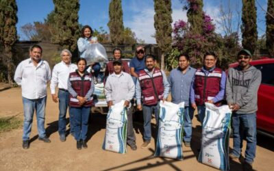 Entrega Sefader crías de peces a personas productoras de Valles Centrales y Sierra Sur