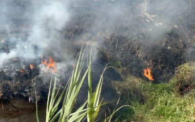 Este jueves se reporta incendio sobre riberas del Río Atoyac