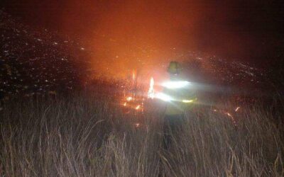 Reportan incendio en inmediaciones del cerro de Monte Albán