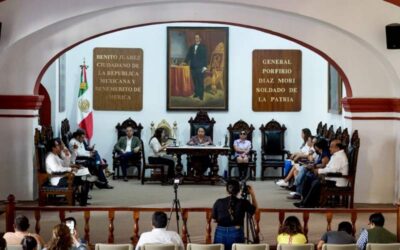 Solicita licencia Martínez Neri