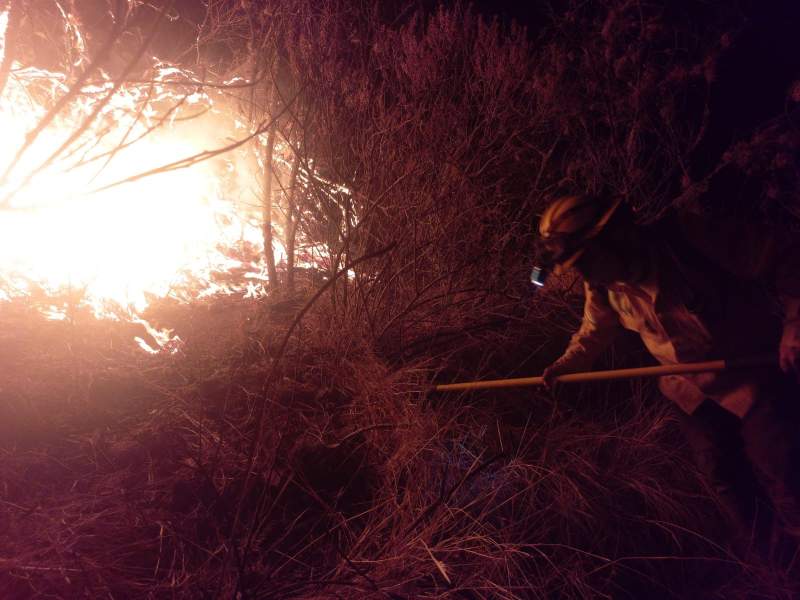 atiende-coesfo-tres-incendios-en-diversos-puntos-de-oaxaca