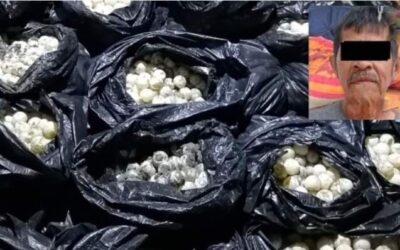 Cae con cargamento de 30 mil huevos de tortuga en Juchitán