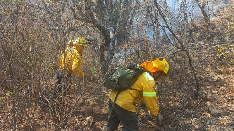 controlado-al-100-incendio-en-san-miguel-peras