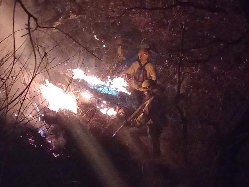 extingue-coesfo-incendio-en-cuilapam-de-guerrero