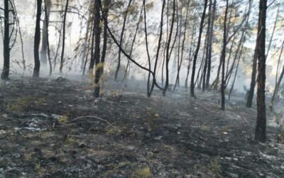 Gobierno de Oaxaca lamenta deceso de personas en incendio de San Lucas Quiavini