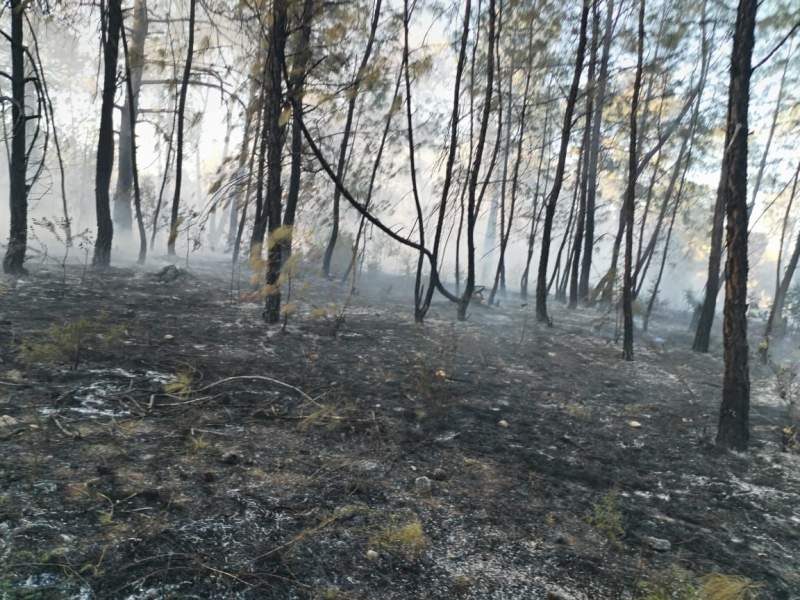 gobierno-de-oaxaca-lamenta-deceso-de-personas-en-incendio-de-san-lucas-quiavini