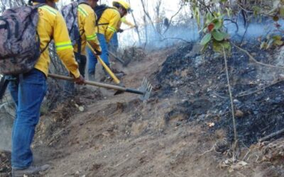 Refuerza Coesfo atención a incendio en cerro Quiavini