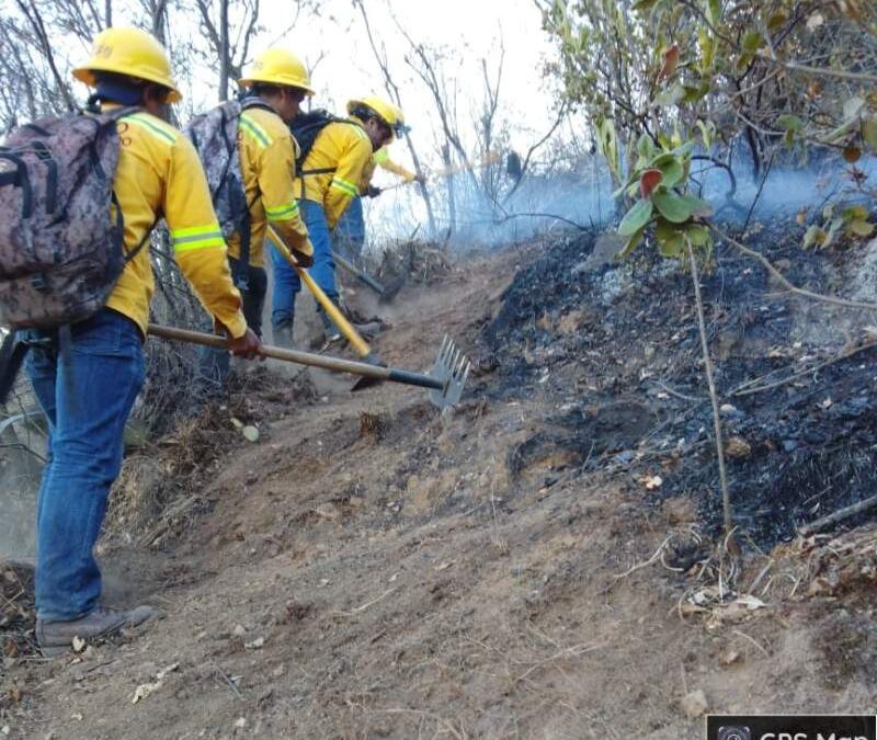 Refuerza Coesfo atención a incendio en cerro Quiavini