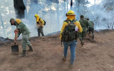 17 incendios se registraron el martes en Oaxaca