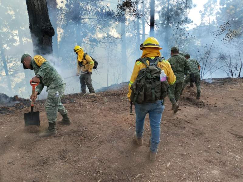 17 incendios se registraron el martes en Oaxaca