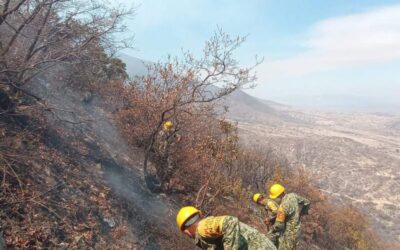Anuncian control y liquidación del incendio en San Lucas Quiaviní al 100%